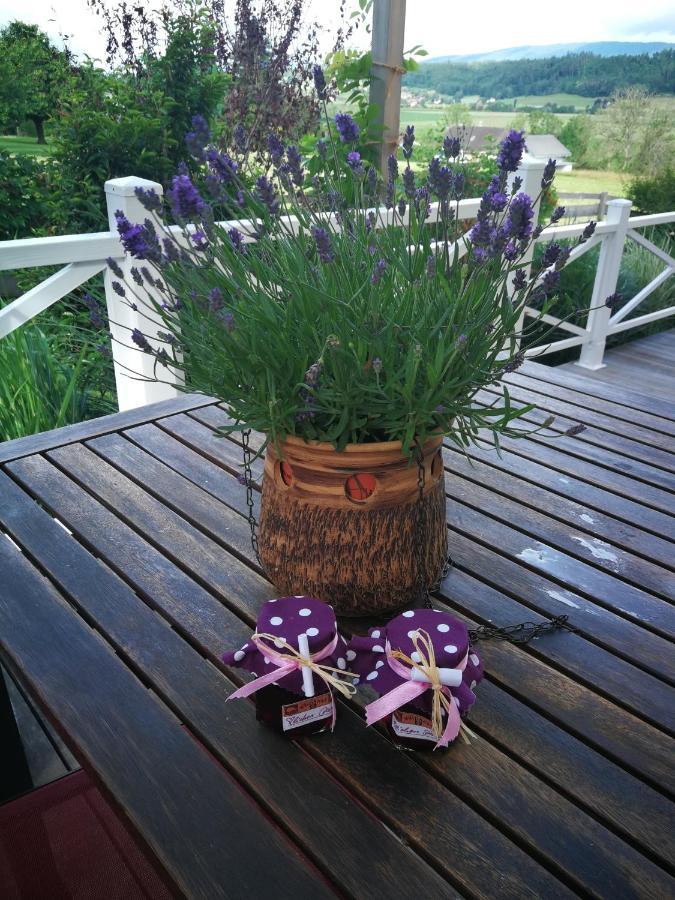 B&B Whitianga Vinelz Exterior foto
